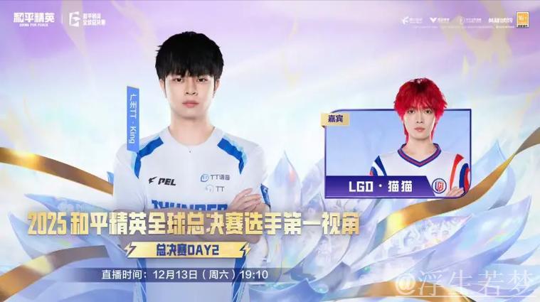 2025PMGC决赛第二天:TT-King第一视角(LGD-猫猫助阵) 2025PMGC决赛第二天:TT-King第一视角(LGD-猫猫助阵)
