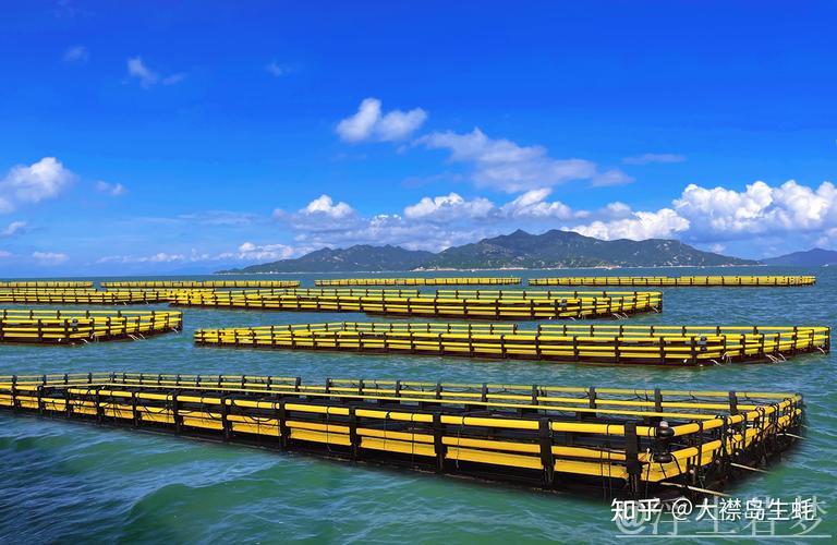 海洋经济助推中国发展，乘数效应撬动10万亿蓝色市场